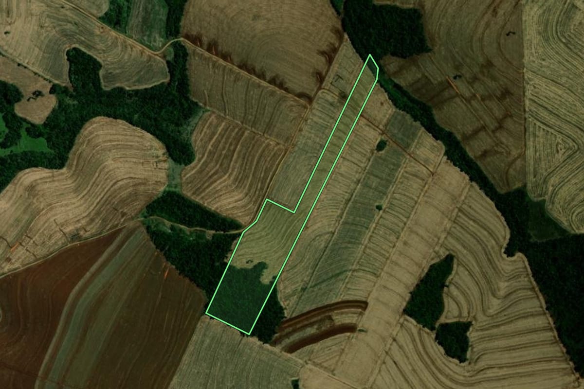 Imagem de satélite do imóvel rural em Campina da Lagoa (PR), com o contorno declarado no CAR desenhado por cima.