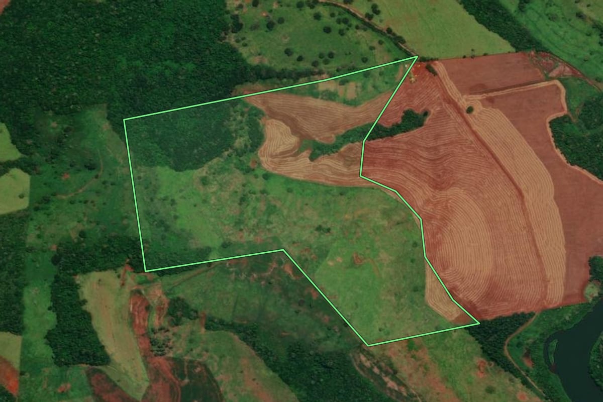 Imagem de satélite do imóvel rural em Campina da Lagoa (PR), com o contorno declarado no CAR desenhado por cima.