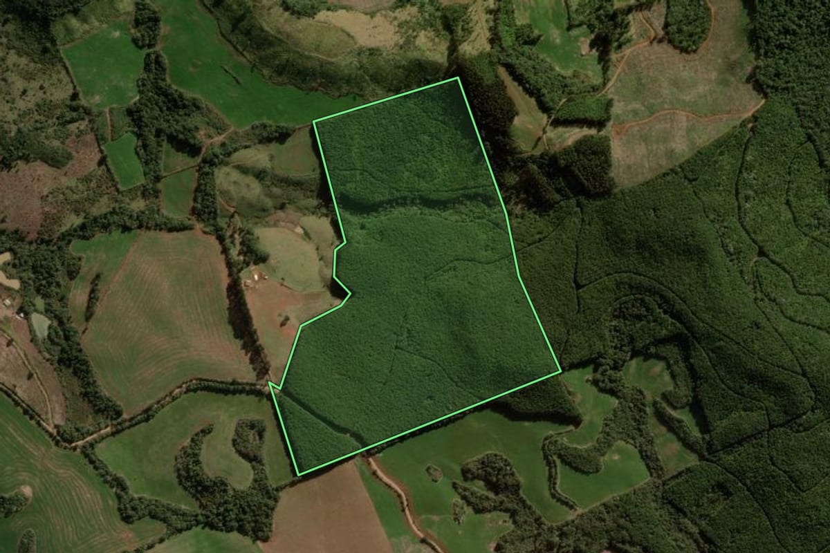 Imagem de satélite do imóvel rural em Campina do Simão (PR), com o contorno declarado no CAR desenhado por cima.