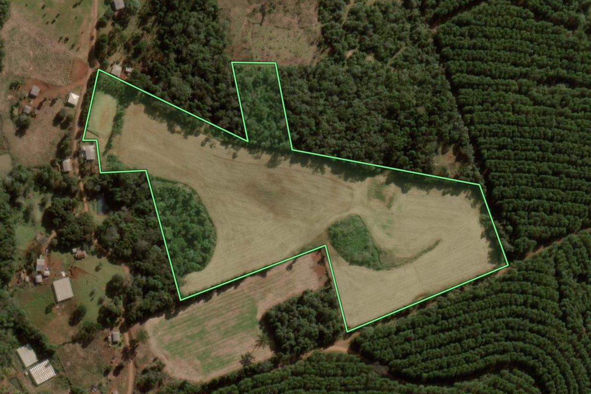 Imagem de satélite do imóvel rural em Campina do Simão (PR), com o contorno declarado no CAR desenhado por cima.