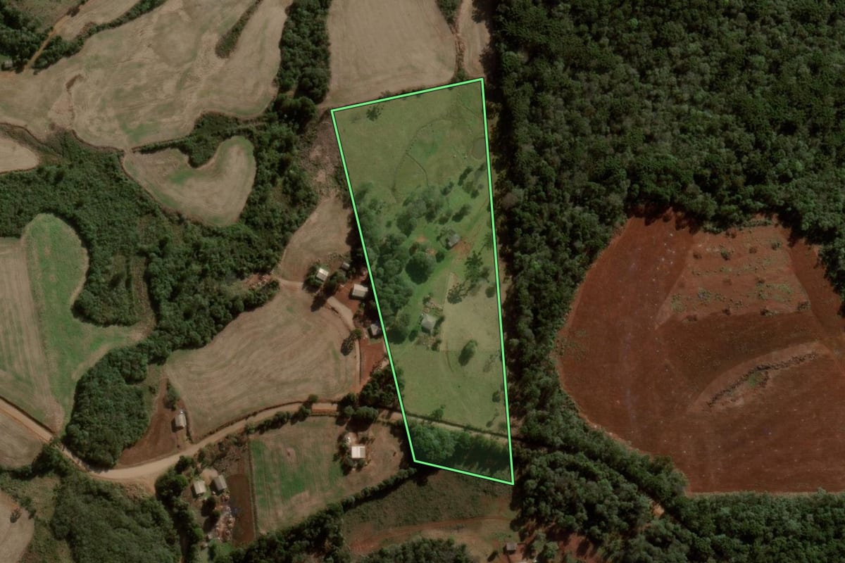 Imagem de satélite do imóvel rural em Campina do Simão (PR), com o contorno declarado no CAR desenhado por cima.