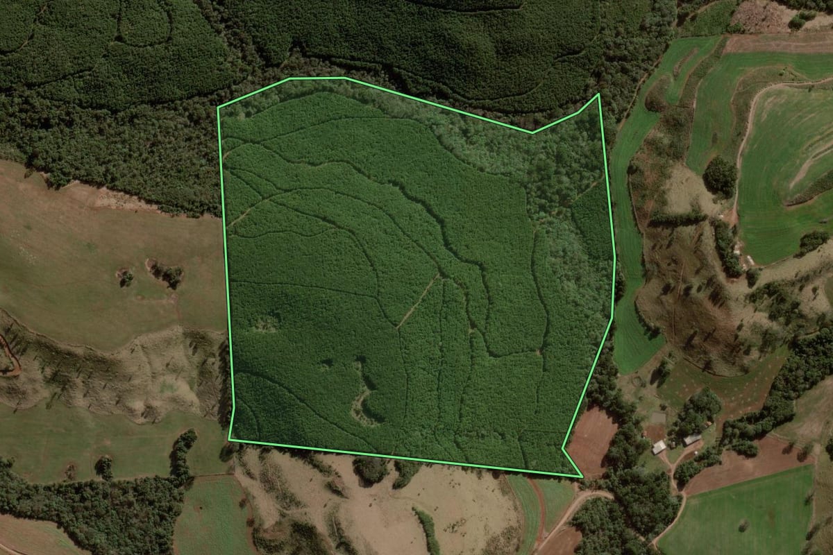 Imagem de satélite do imóvel rural em Campina do Simão (PR), com o contorno declarado no CAR desenhado por cima.