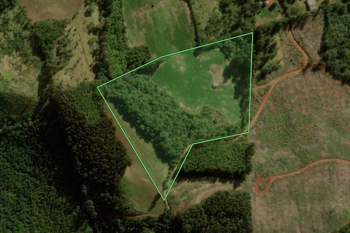 Imagem de satélite do imóvel rural em Campina do Simão (PR), com o contorno declarado no CAR desenhado por cima.