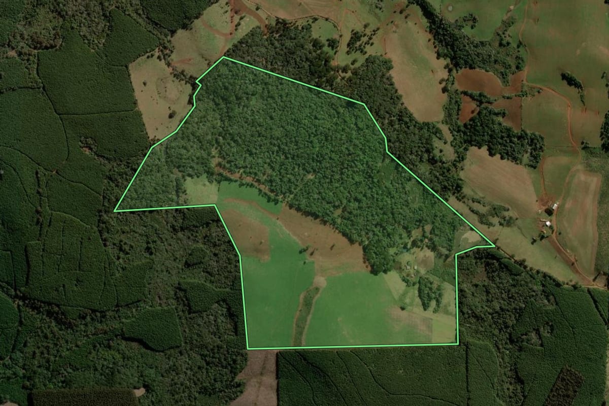 Imagem de satélite do imóvel rural em Campina do Simão (PR), com o contorno declarado no CAR desenhado por cima.