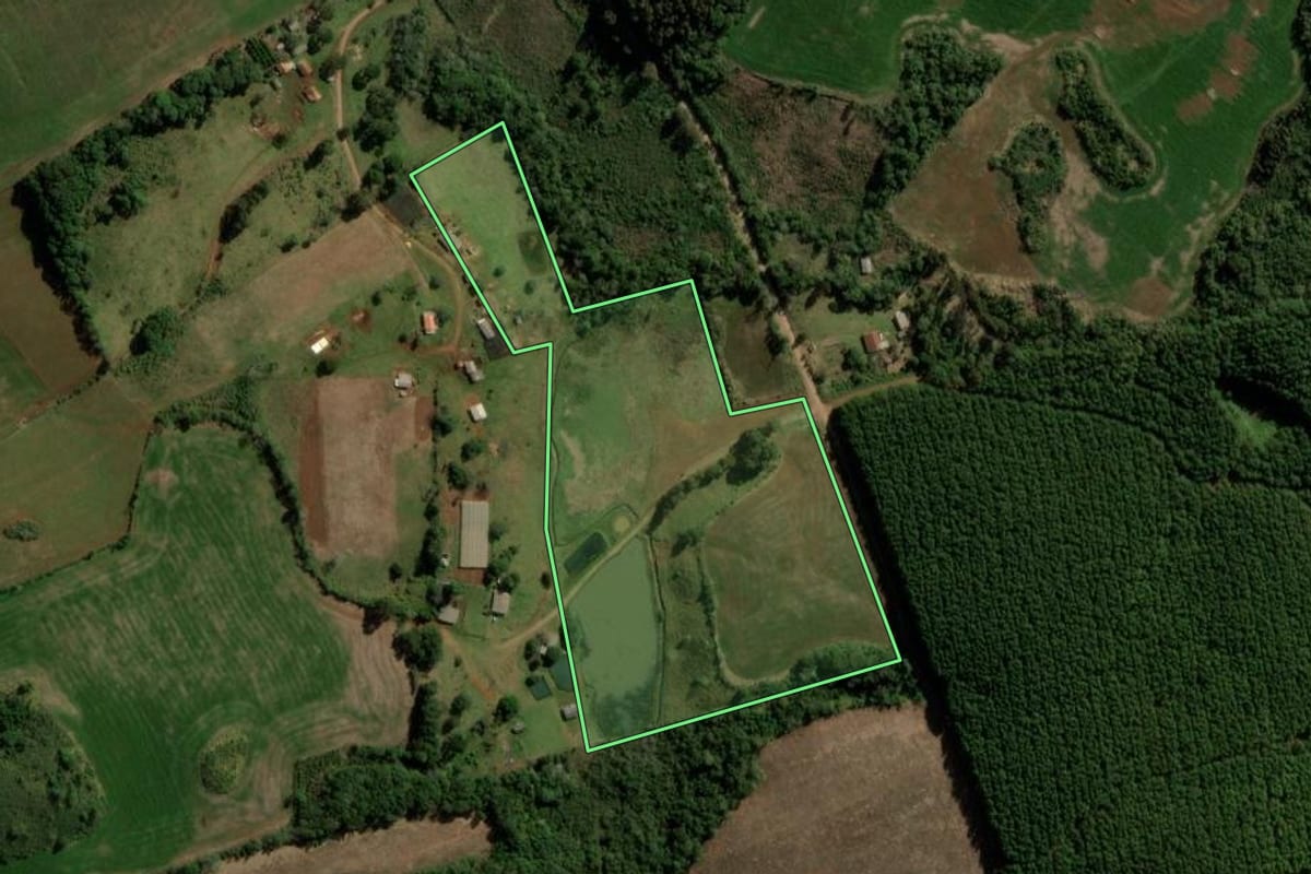 Imagem de satélite do imóvel rural em Campina do Simão (PR), com o contorno declarado no CAR desenhado por cima.