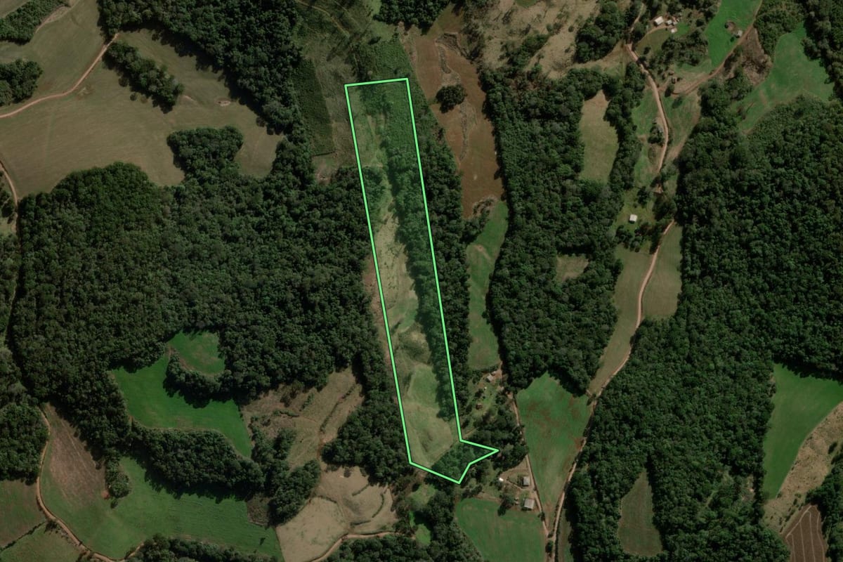 Imagem de satélite do imóvel rural em Campina do Simão (PR), com o contorno declarado no CAR desenhado por cima.