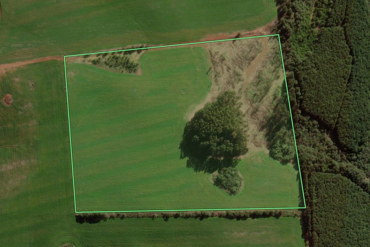 Imagem de satélite do imóvel rural em Campina do Simão (PR), com o contorno declarado no CAR desenhado por cima.
