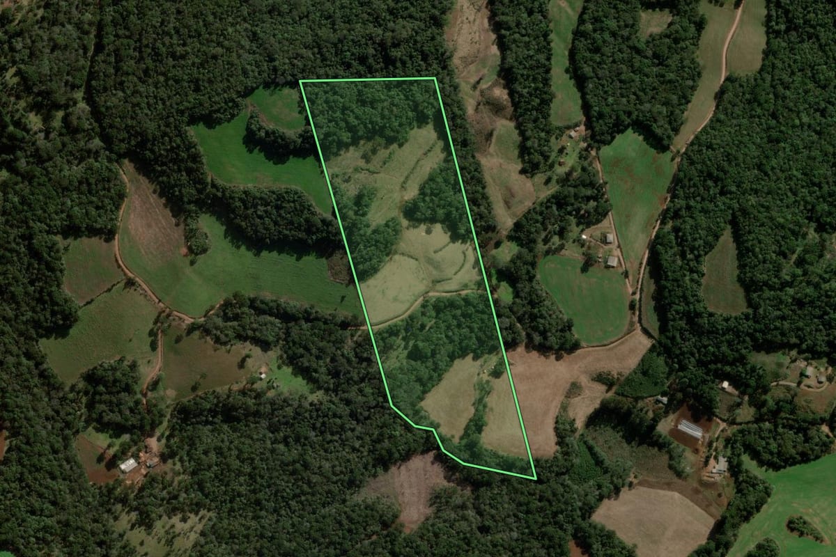 Imagem de satélite do imóvel rural em Campina do Simão (PR), com o contorno declarado no CAR desenhado por cima.