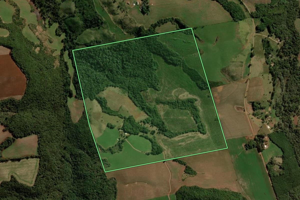 Imagem de satélite do imóvel rural em Campina do Simão (PR), com o contorno declarado no CAR desenhado por cima.