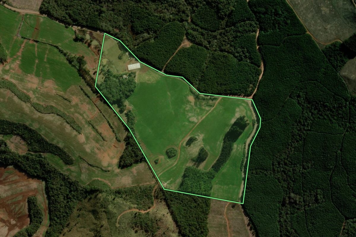 Imagem de satélite do imóvel rural em Campina do Simão (PR), com o contorno declarado no CAR desenhado por cima.