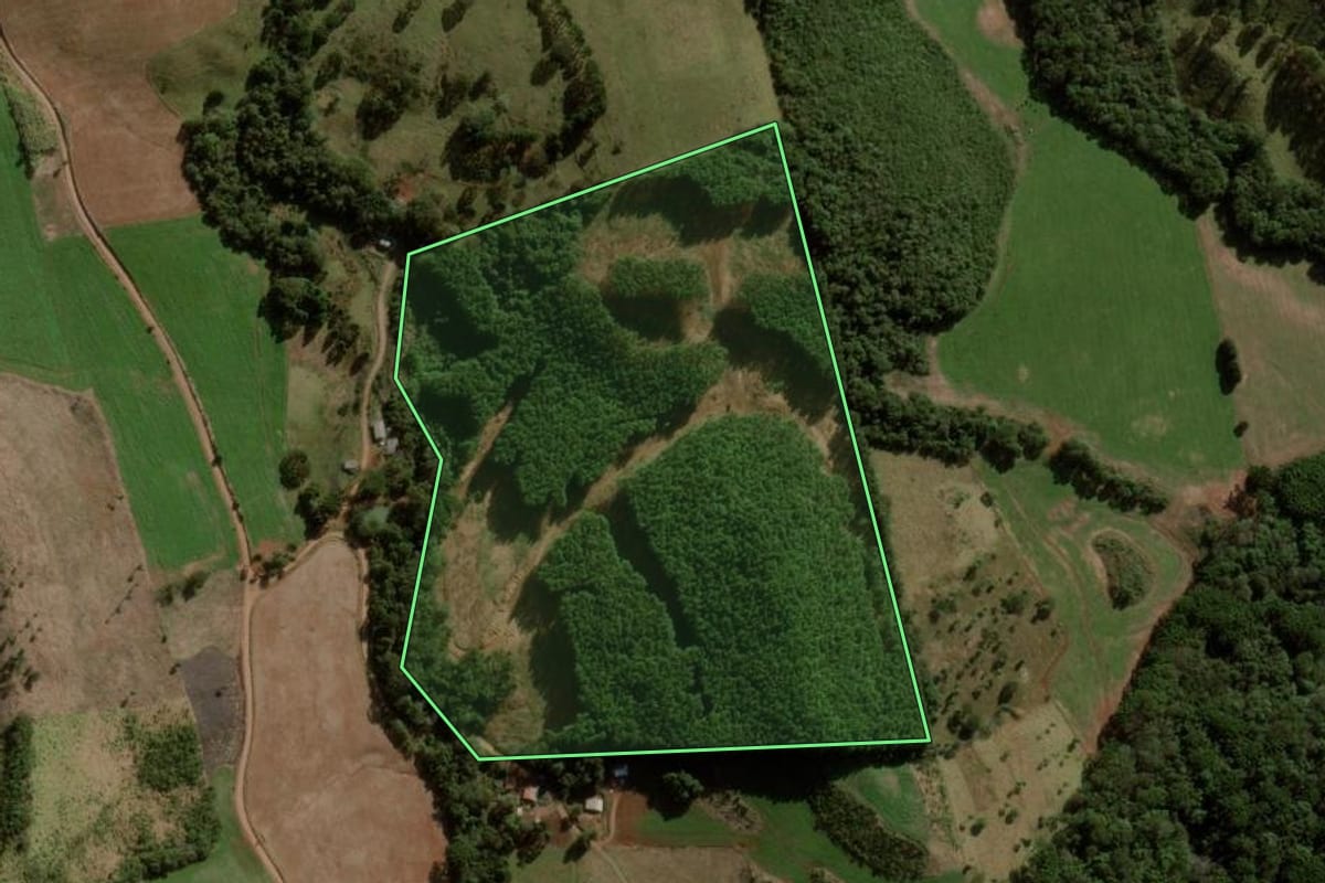 Imagem de satélite do imóvel rural em Campina do Simão (PR), com o contorno declarado no CAR desenhado por cima.