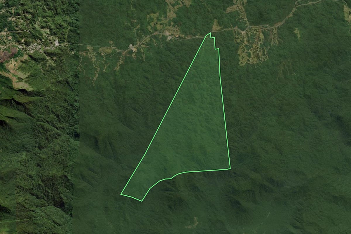 Imagem de satélite do imóvel rural em Campina Grande do Sul (PR), com o contorno declarado no CAR desenhado por cima.