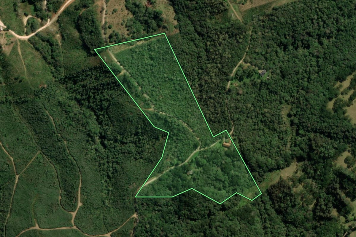 Imagem de satélite do imóvel rural em Campina Grande do Sul (PR), com o contorno declarado no CAR desenhado por cima.