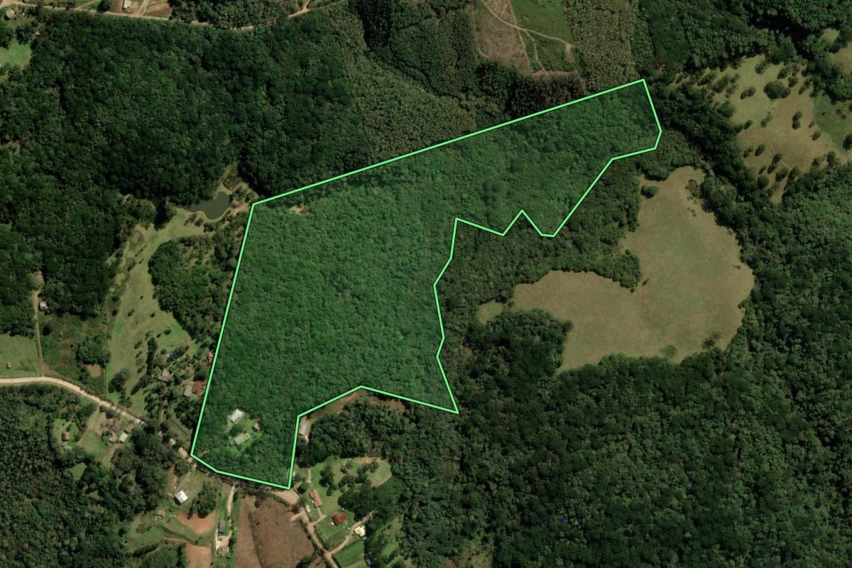 Imagem de satélite do imóvel rural em Campina Grande do Sul (PR), com o contorno declarado no CAR desenhado por cima.