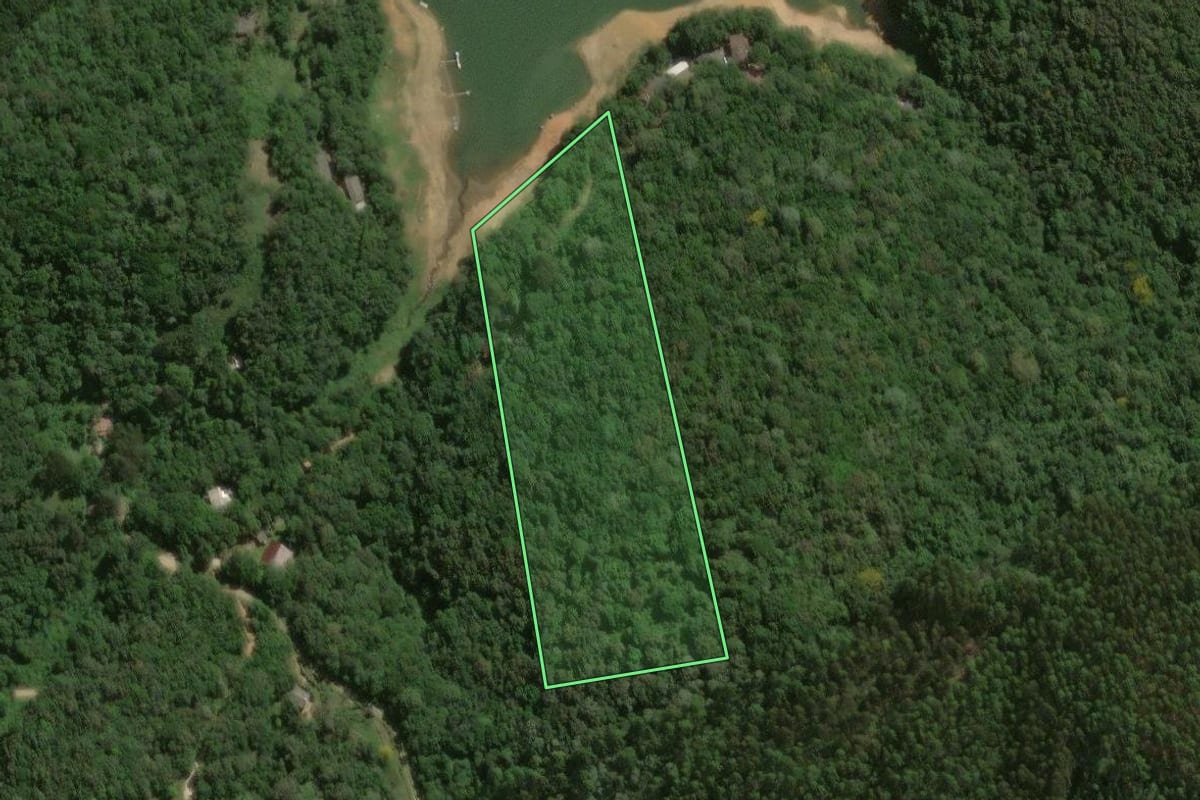 Imagem de satélite do imóvel rural em Campina Grande do Sul (PR), com o contorno declarado no CAR desenhado por cima.