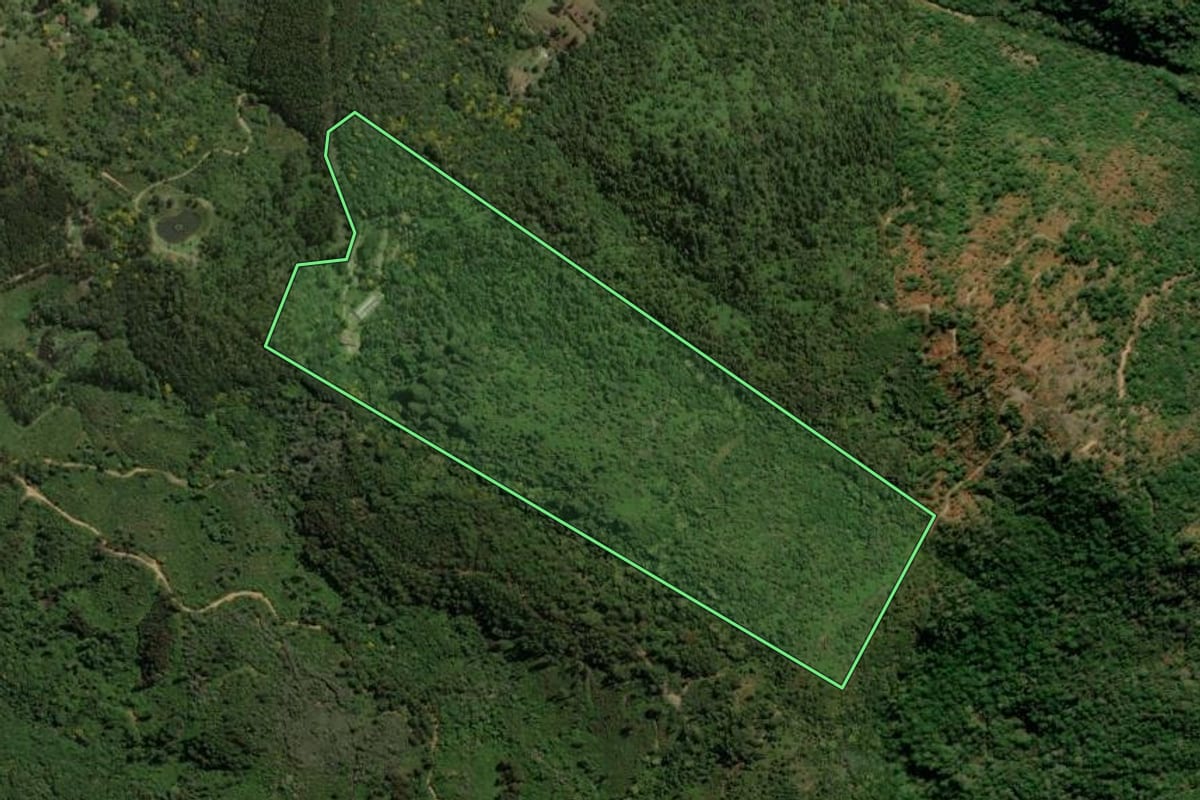 Imagem de satélite do imóvel rural em Campina Grande do Sul (PR), com o contorno declarado no CAR desenhado por cima.