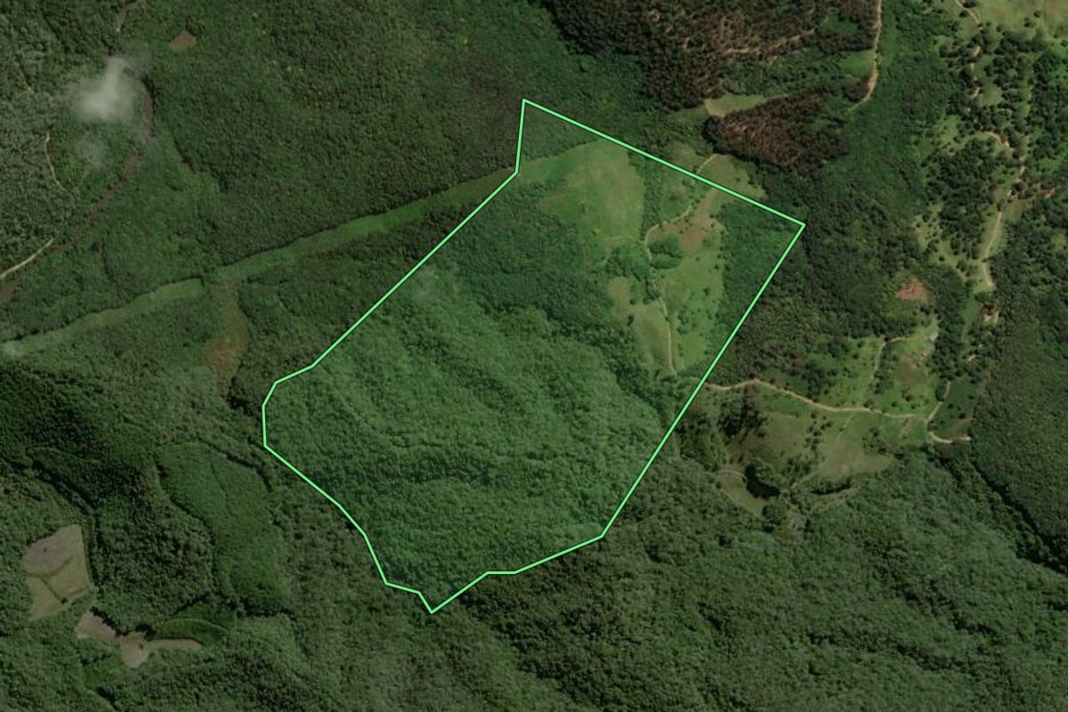 Imagem de satélite do imóvel rural em Campina Grande do Sul (PR), com o contorno declarado no CAR desenhado por cima.
