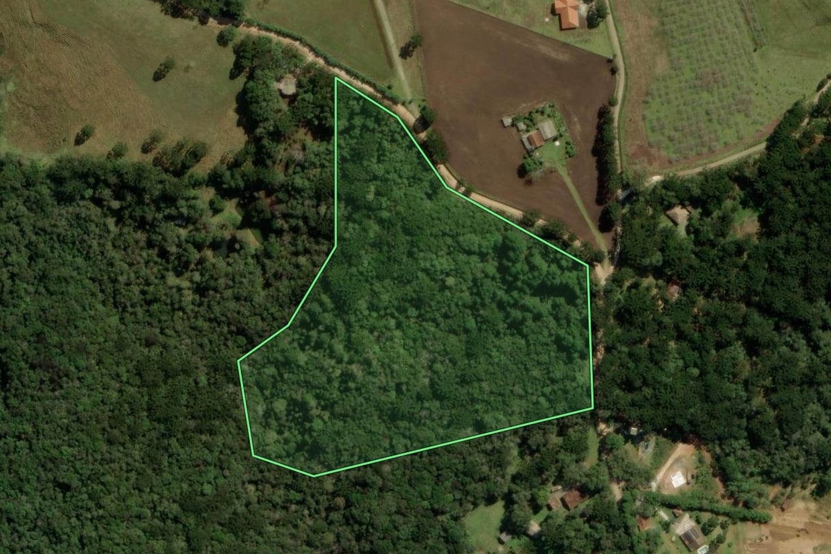 Imagem de satélite do imóvel rural em Campina Grande do Sul (PR), com o contorno declarado no CAR desenhado por cima.