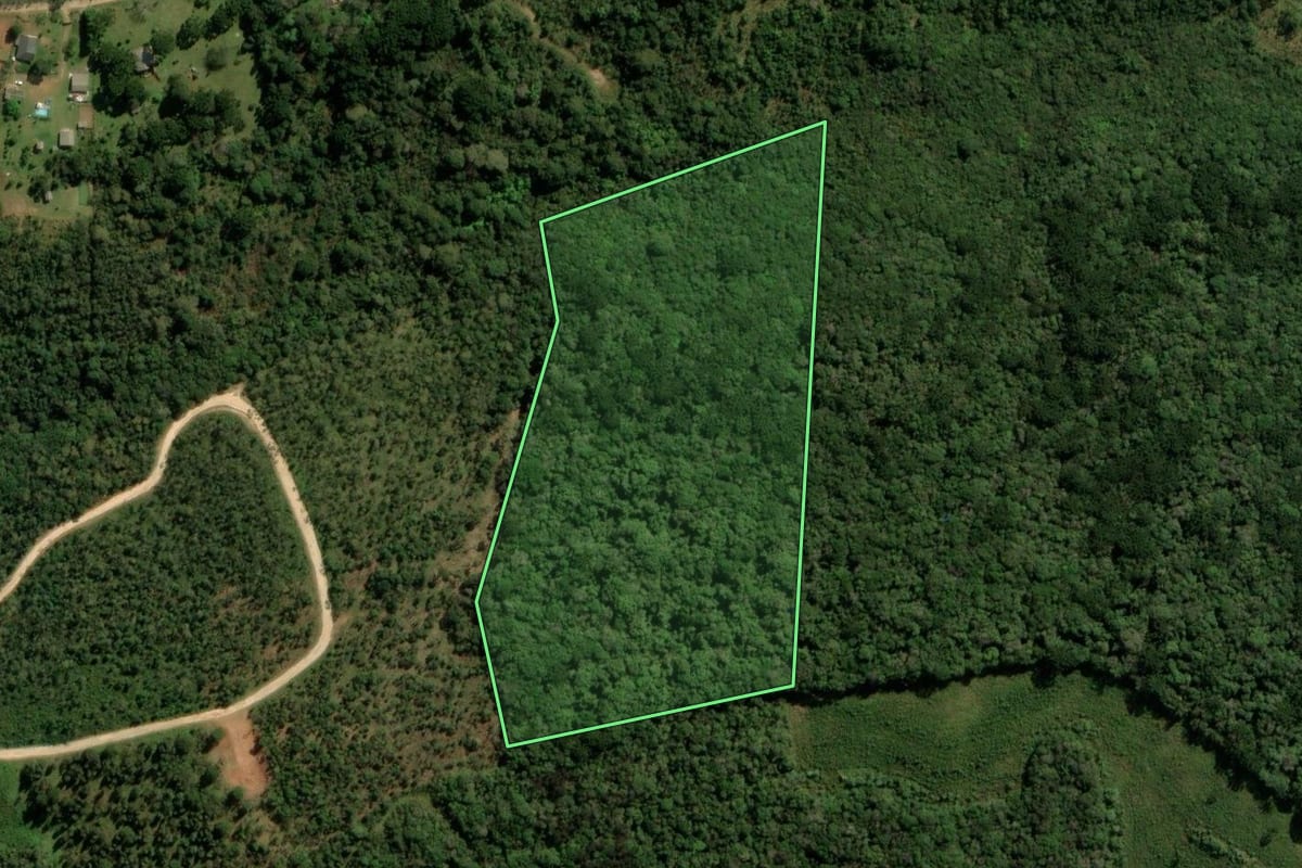 Imagem de satélite do imóvel rural em Campina Grande do Sul (PR), com o contorno declarado no CAR desenhado por cima.