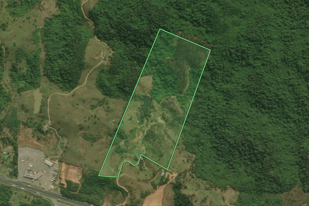 Imagem de satélite do imóvel rural em Campina Grande do Sul (PR), com o contorno declarado no CAR desenhado por cima.