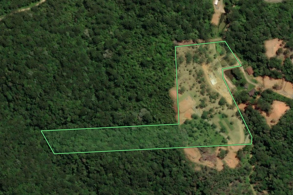 Imagem de satélite do imóvel rural em Campina Grande do Sul (PR), com o contorno declarado no CAR desenhado por cima.