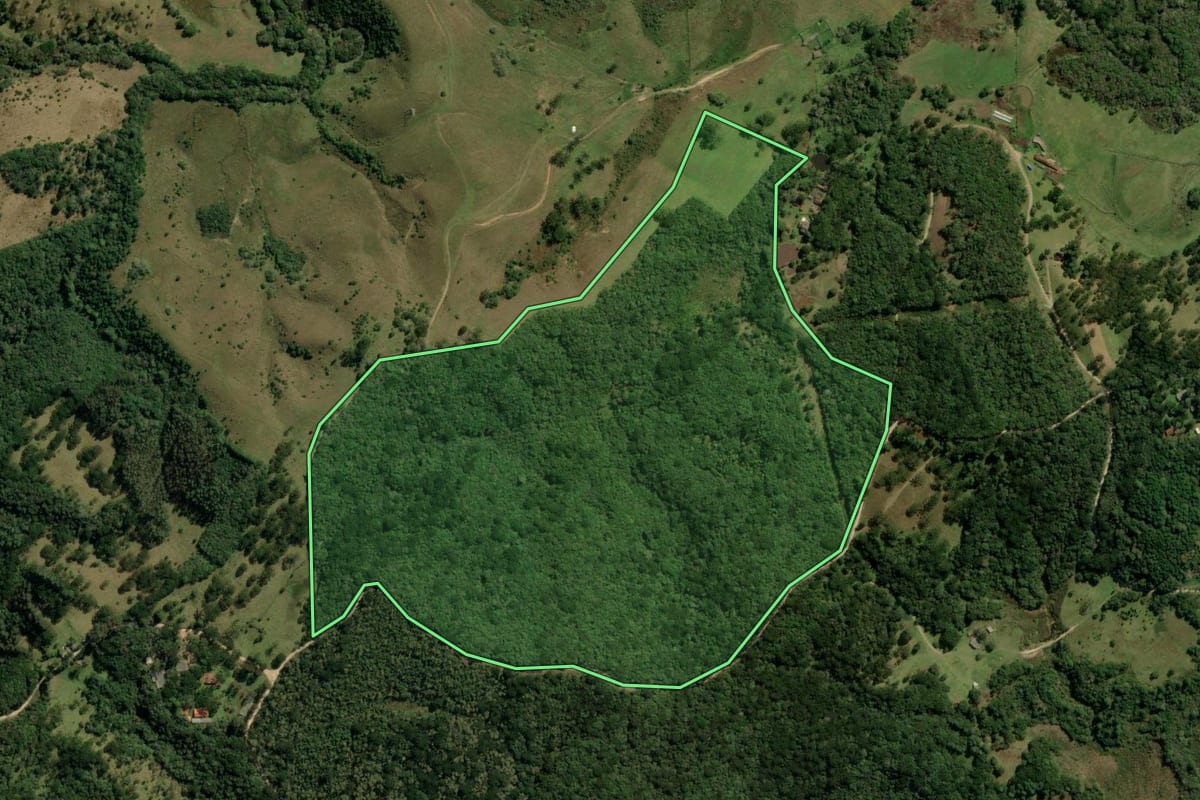 Imagem de satélite do imóvel rural em Campina Grande do Sul (PR), com o contorno declarado no CAR desenhado por cima.
