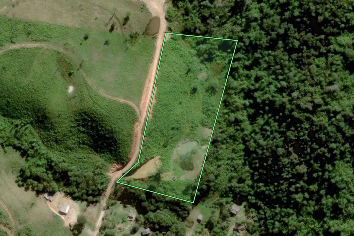 Imagem de satélite do imóvel rural em Campina Grande do Sul (PR), com o contorno declarado no CAR desenhado por cima.
