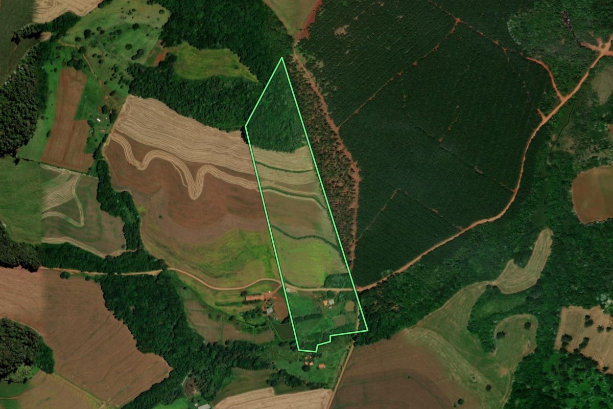 Imagem de satélite do imóvel rural em Campo Bonito (PR), com o contorno declarado no CAR desenhado por cima.