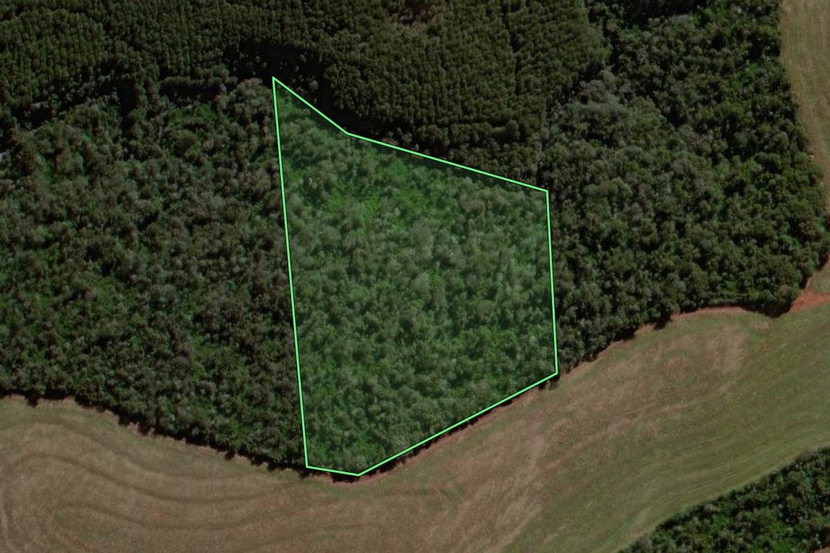 Imagem de satélite do imóvel rural em Campo Bonito (PR), com o contorno declarado no CAR desenhado por cima.