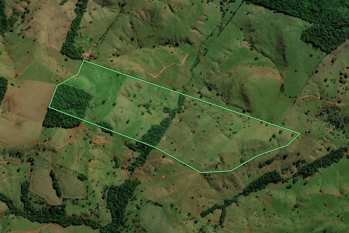 Imagem de satélite do imóvel rural em Campo Bonito (PR), com o contorno declarado no CAR desenhado por cima.