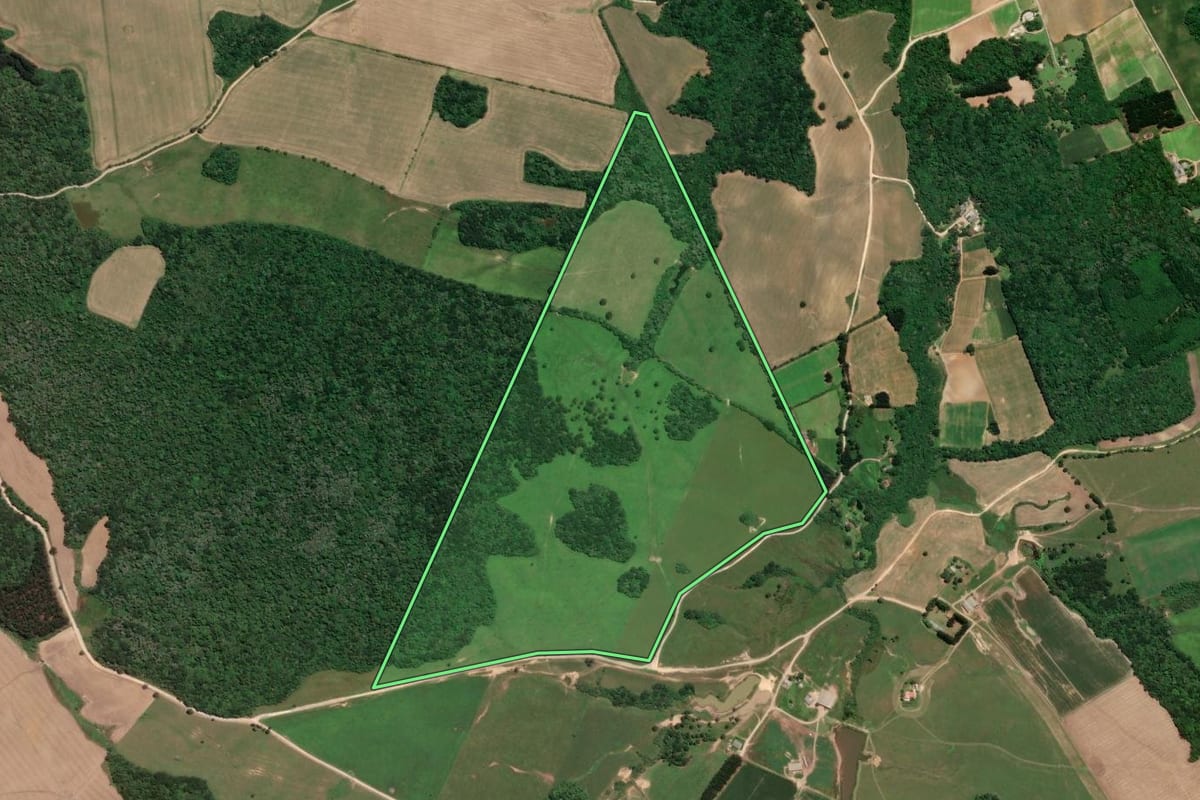 Imagem de satélite do imóvel rural em Campo do Tenente (PR), com o contorno declarado no CAR desenhado por cima.