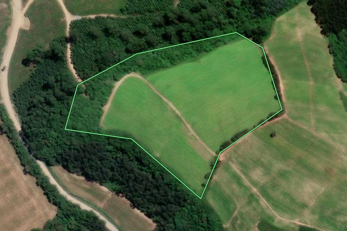 Imagem de satélite do imóvel rural em Campo do Tenente (PR), com o contorno declarado no CAR desenhado por cima.