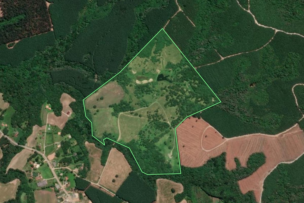 Imagem de satélite do imóvel rural em Campo do Tenente (PR), com o contorno declarado no CAR desenhado por cima.