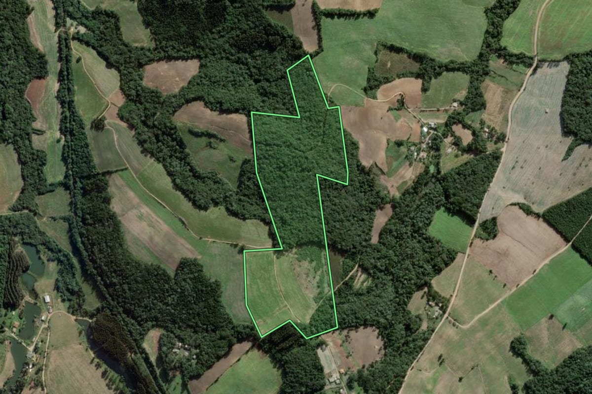 Imagem de satélite do imóvel rural em Campo do Tenente (PR), com o contorno declarado no CAR desenhado por cima.