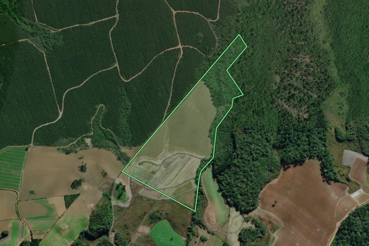 Imagem de satélite do imóvel rural em Campo do Tenente (PR), com o contorno declarado no CAR desenhado por cima.
