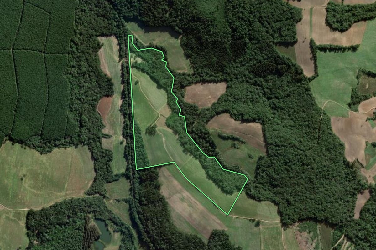 Imagem de satélite do imóvel rural em Campo do Tenente (PR), com o contorno declarado no CAR desenhado por cima.