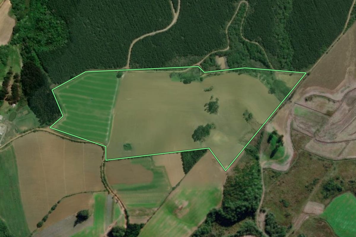 Imagem de satélite do imóvel rural em Campo do Tenente (PR), com o contorno declarado no CAR desenhado por cima.