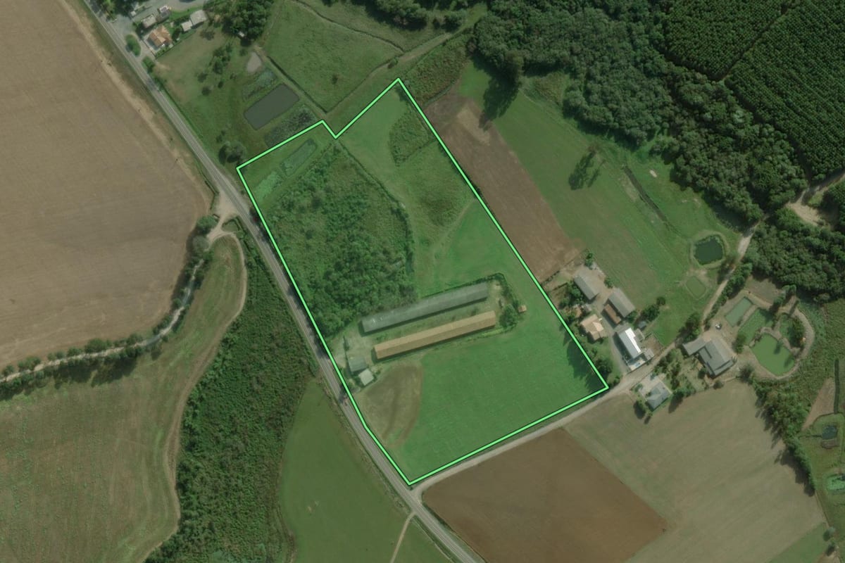 Imagem de satélite do imóvel rural em Campo do Tenente (PR), com o contorno declarado no CAR desenhado por cima.