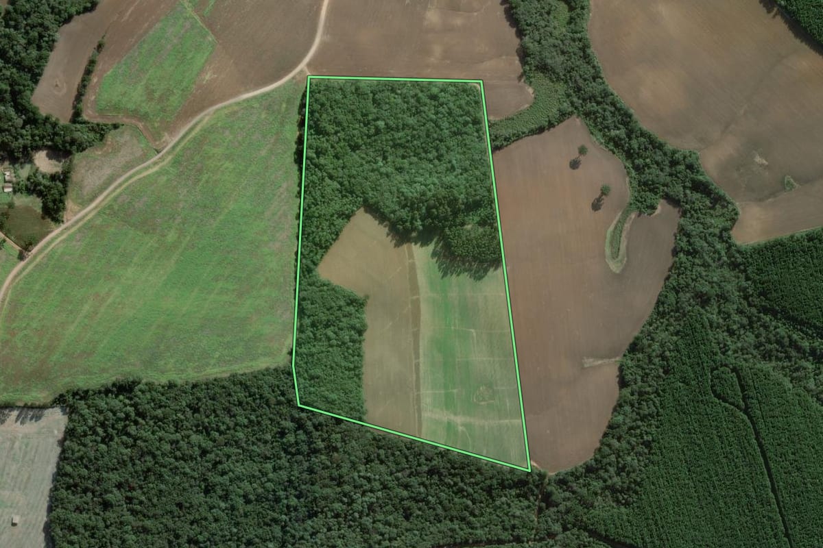 Imagem de satélite do imóvel rural em Campo do Tenente (PR), com o contorno declarado no CAR desenhado por cima.