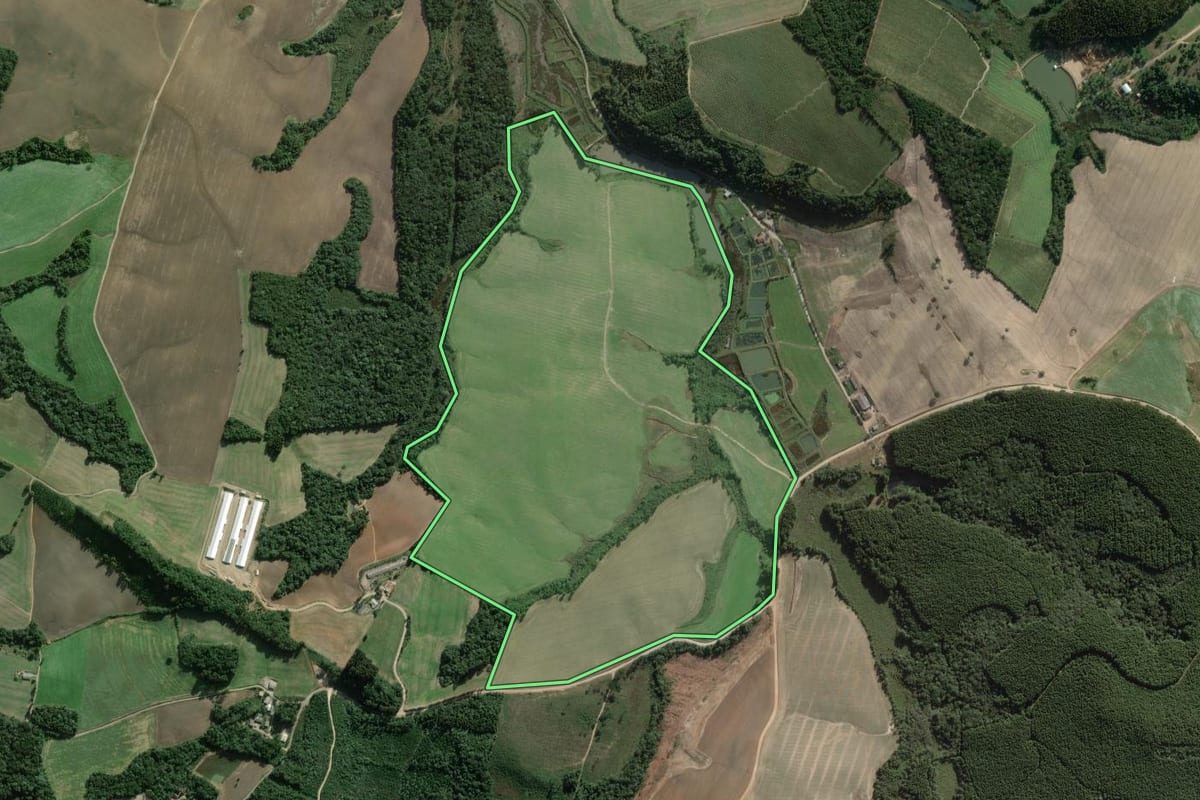 Imagem de satélite do imóvel rural em Campo do Tenente (PR), com o contorno declarado no CAR desenhado por cima.
