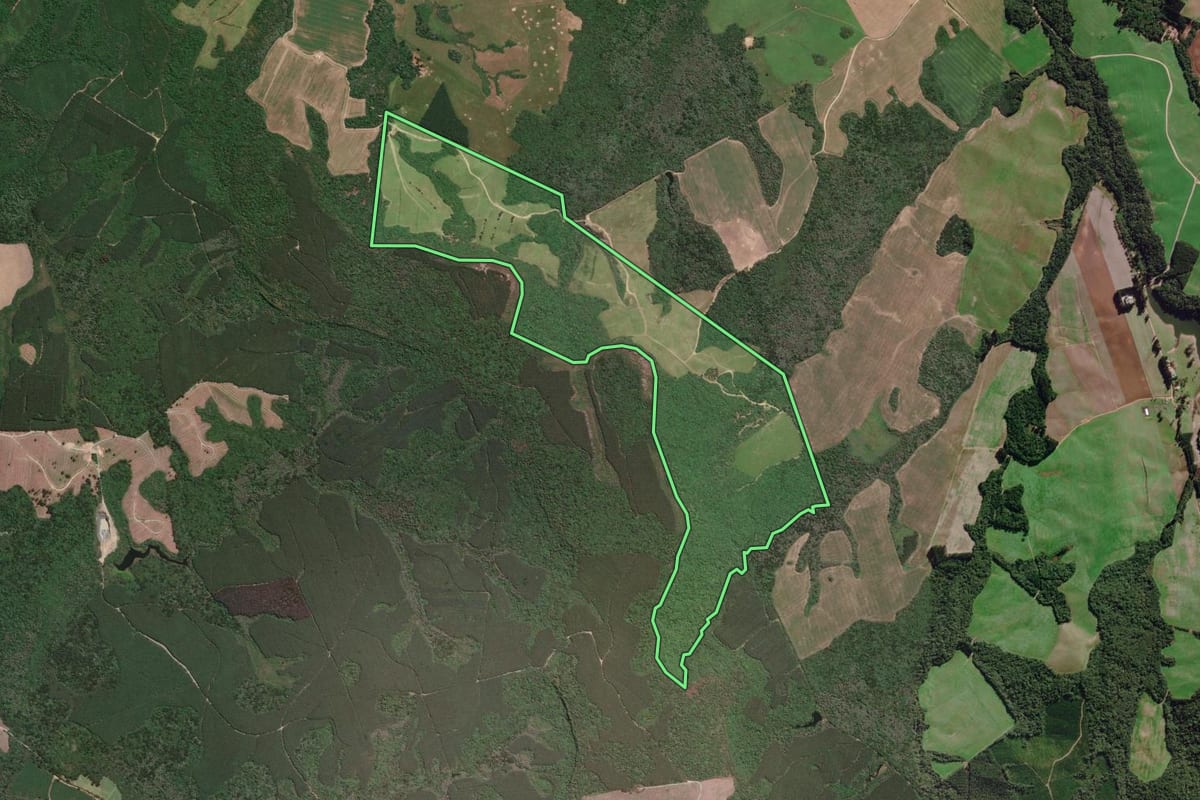 Imagem de satélite do imóvel rural em Campo do Tenente (PR), com o contorno declarado no CAR desenhado por cima.