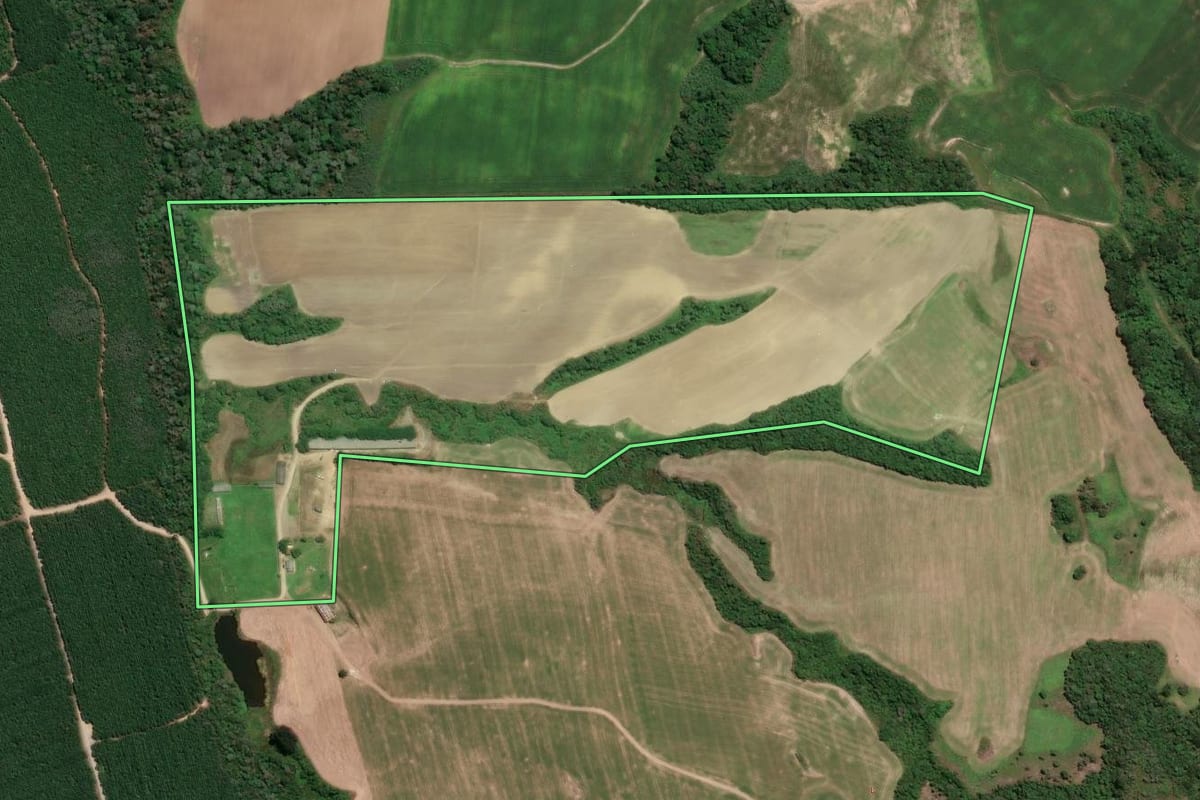 Imagem de satélite do imóvel rural em Campo do Tenente (PR), com o contorno declarado no CAR desenhado por cima.
