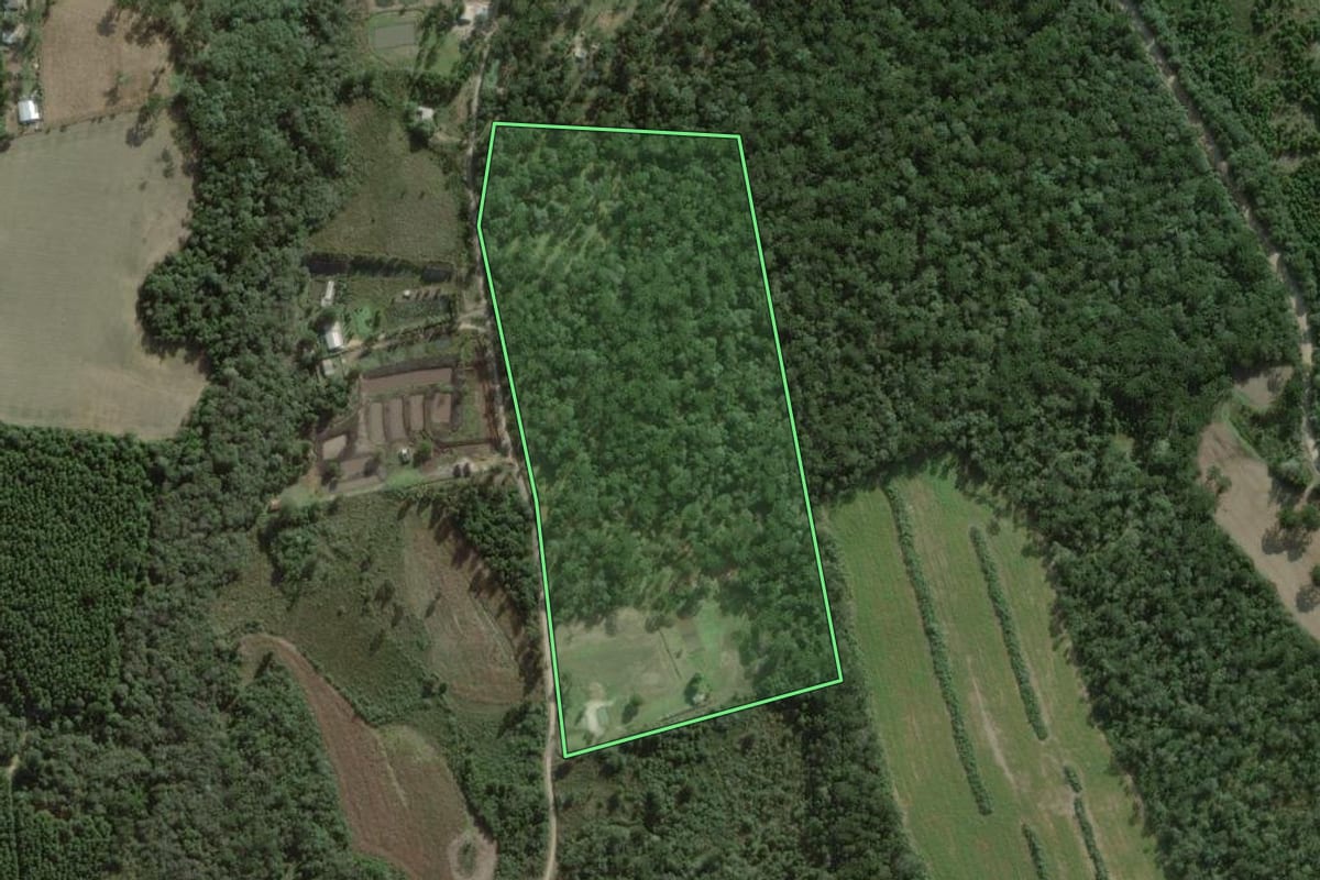 Imagem de satélite do imóvel rural em Campo do Tenente (PR), com o contorno declarado no CAR desenhado por cima.