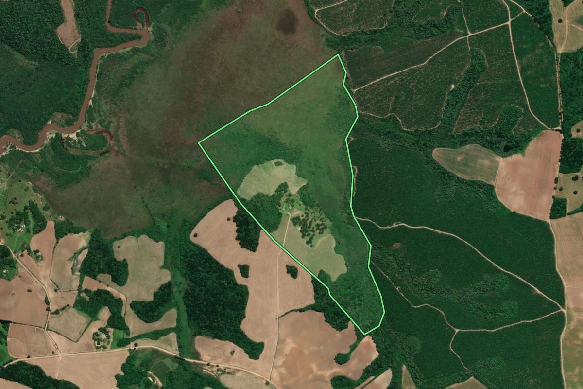 Imagem de satélite do imóvel rural em Campo do Tenente (PR), com o contorno declarado no CAR desenhado por cima.