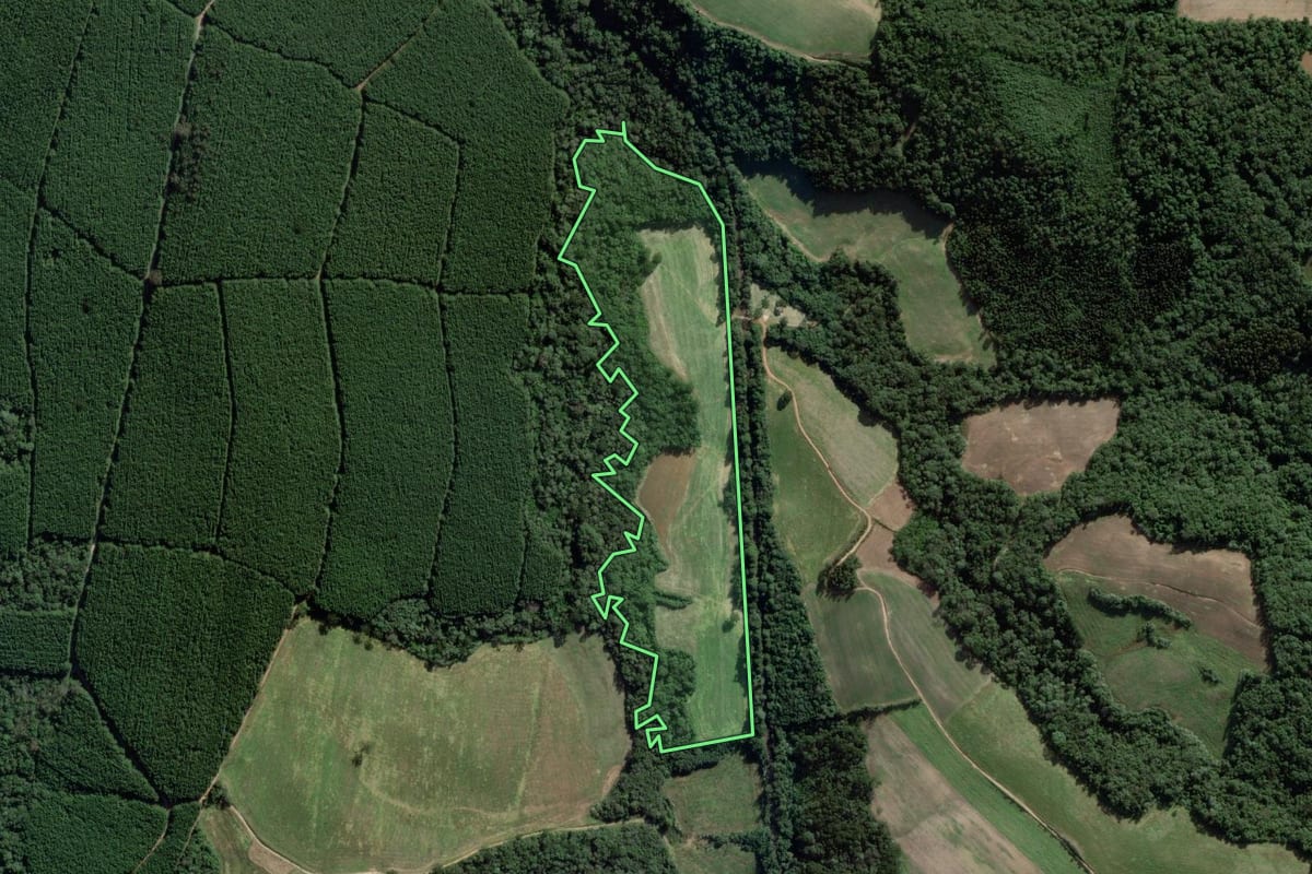 Imagem de satélite do imóvel rural em Campo do Tenente (PR), com o contorno declarado no CAR desenhado por cima.
