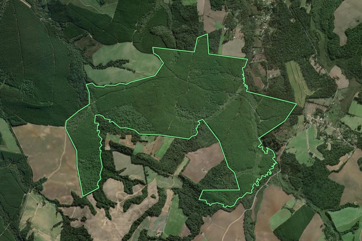 Imagem de satélite do imóvel rural em Campo do Tenente (PR), com o contorno declarado no CAR desenhado por cima.