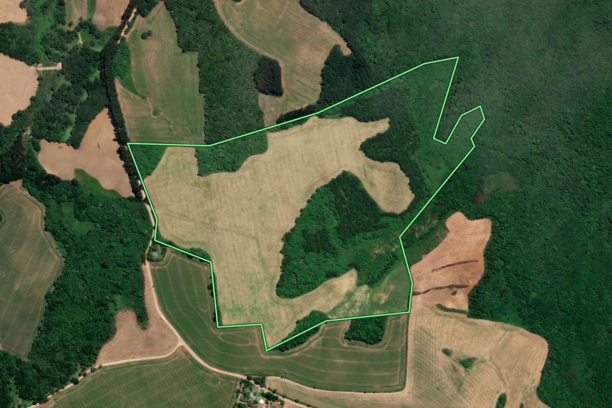 Imagem de satélite do imóvel rural em Campo do Tenente (PR), com o contorno declarado no CAR desenhado por cima.