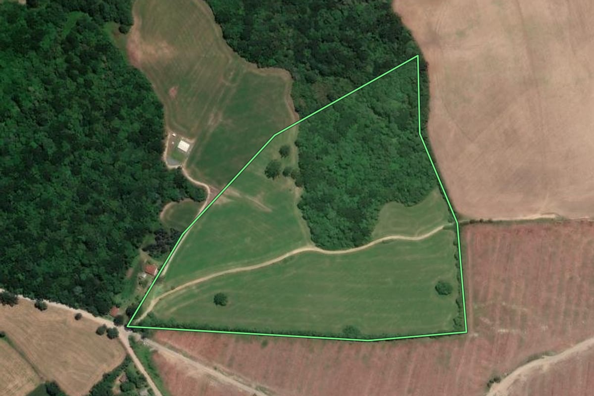 Imagem de satélite do imóvel rural em Campo do Tenente (PR), com o contorno declarado no CAR desenhado por cima.