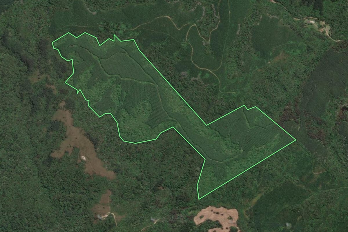 Imagem de satélite do imóvel rural em Campo Largo (PR), com o contorno declarado no CAR desenhado por cima.