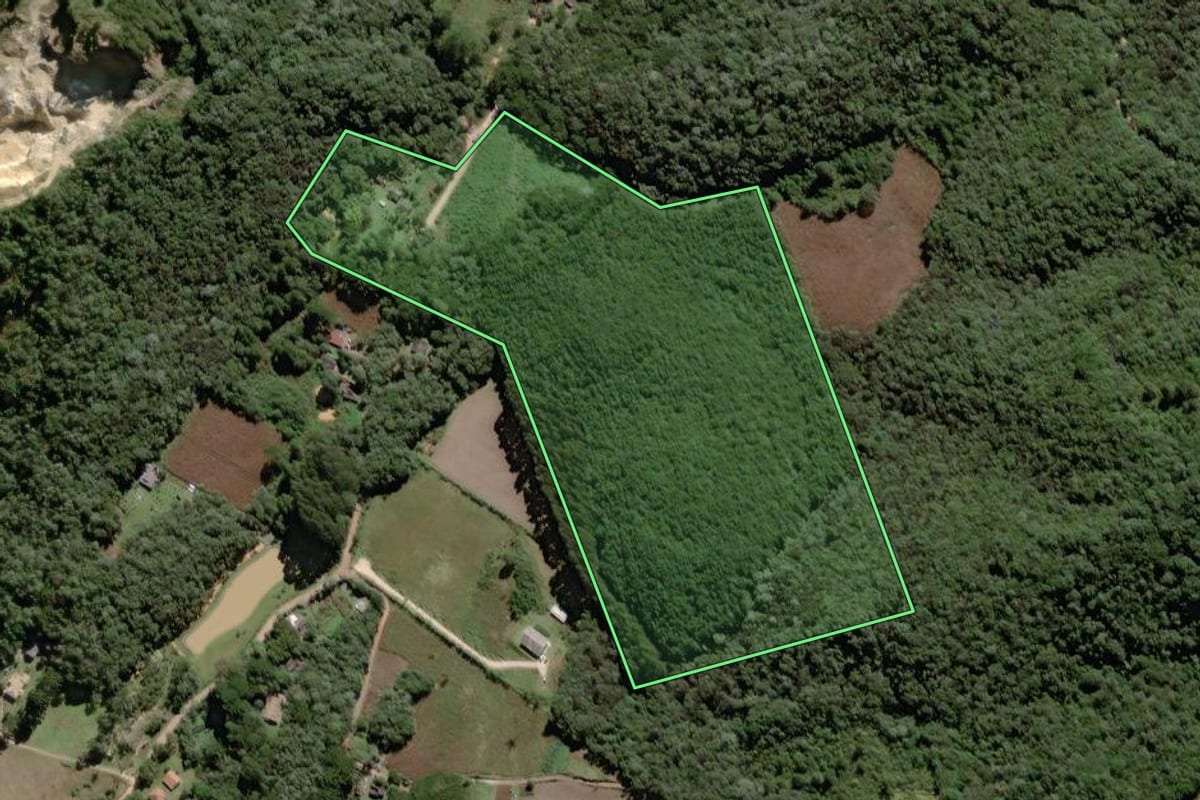 Imagem de satélite do imóvel rural em Campo Largo (PR), com o contorno declarado no CAR desenhado por cima.